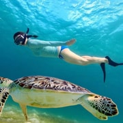 Lombok: 4 Gili Islands Island-Hopping & Snorkeling Tour