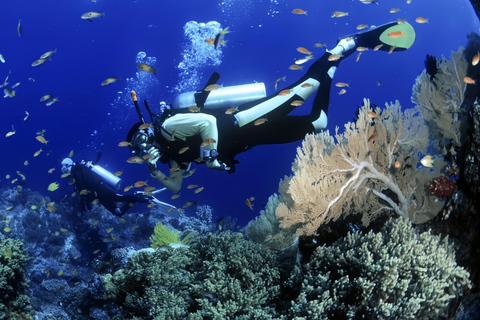 Visita às ilhas Cham e mergulho com snorkel e autônomoExcursão em grupo