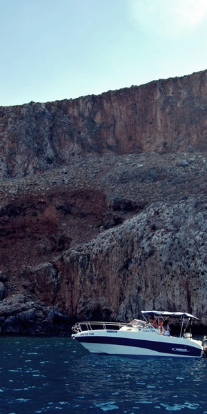 The Elephant Route | GetYourGuide