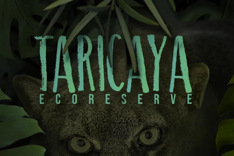 马尔多纳多港：塔里卡亚野生动物救援中心之旅