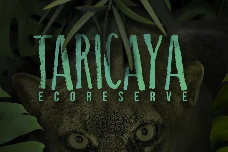 马尔多纳多港：塔里卡亚野生动物救援中心之旅