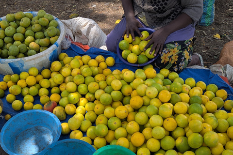 Blue Nile Gorge Wildlife & Cultural Day Trip
