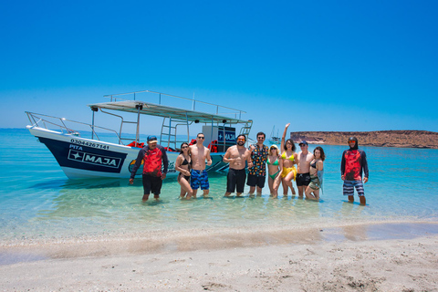 La Paz: Espiritu Santo Island Tour