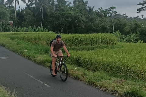 Ubud Cultural Downhill Cycling Tour and Visit Rice Terraces Standard Option