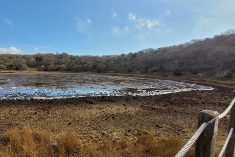 ¡Descubre lo más destacado de la isla de Jeju y sus lugares declarados Patrimonio de la Humanidad por la UNESCO!