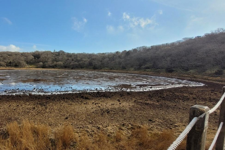 Ontdek de hoogtepunten van Jeju eiland en de UNESCO sites!