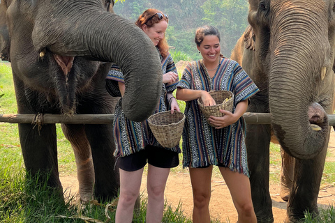 Chiang Mai: Ethical Elephant Experience with Bamboo Rafting