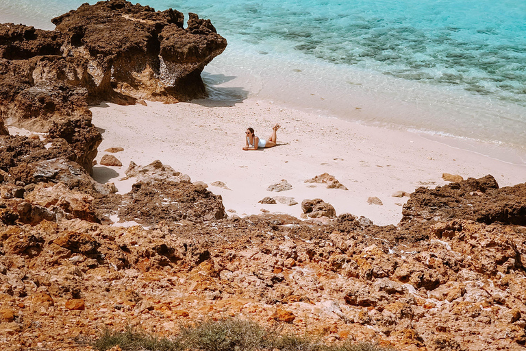 Omán: Excursión de snorkel a la isla de Daymaniyat con equipo incluido.Omán: Excursión de snorkel a la isla de Daymaniyat con equipo incluido