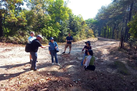 Da Kathmandu: trekking di 3 giorni Chisapani-Nagarkot e Bhaktapur