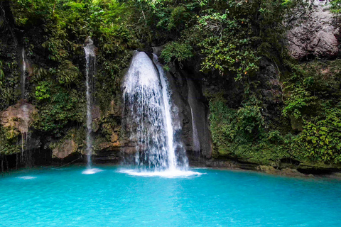 Cebu: Oslob Whale Shark Experience & Kawasan Canyoneering
