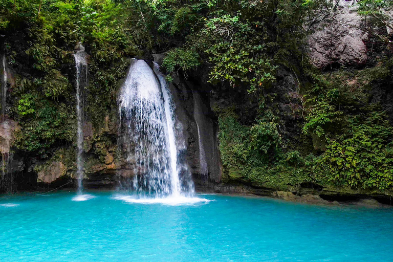 Cebu: Oslob Whale Shark Experience & Kawasan Canyoneering