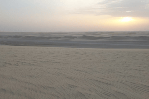 Doha: Desert Safari with Dune Bashing, Camel Ride &amp; Inland