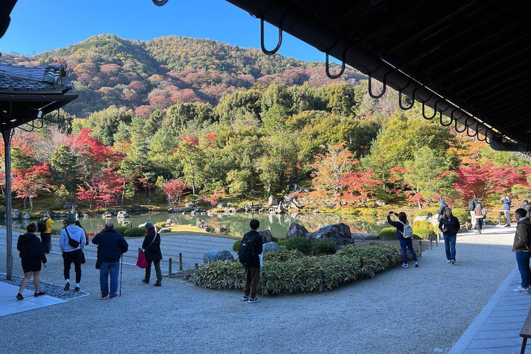 Tokyo One Day Customizable Trip With English speaking Driver