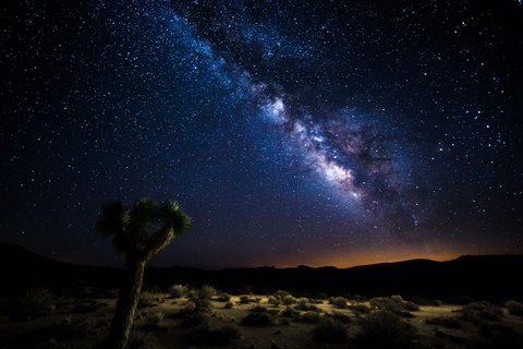 Tour naar Joshua Tree National Park vanuit Los Angeles