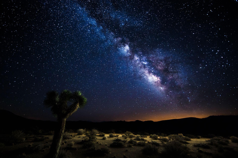 Excursión al parque nacional Joshua Tree desde Los Ángeles