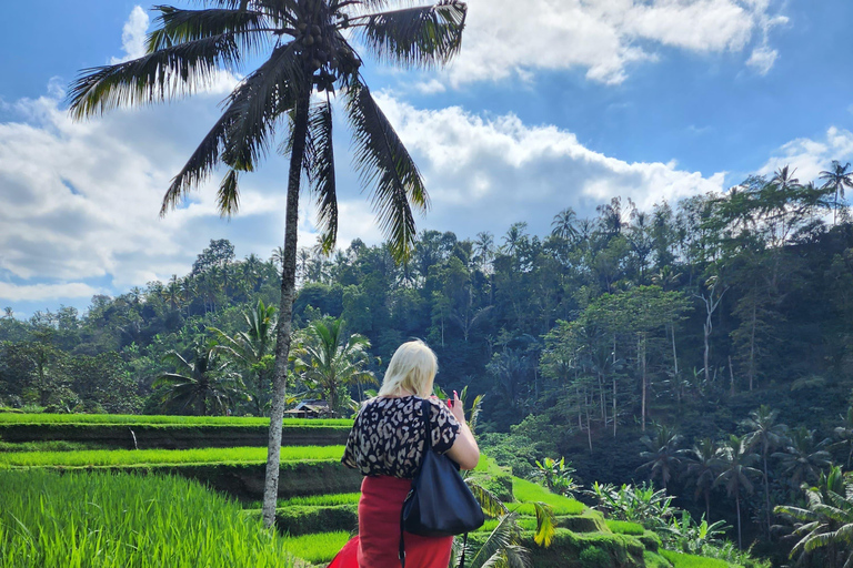 Ubud: Hidden Waterfalls, Rice terrace & Cliffside Dining