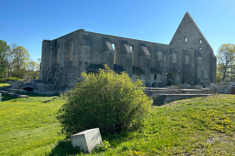Tallinn: Panoramic Tour by Private Vehicle