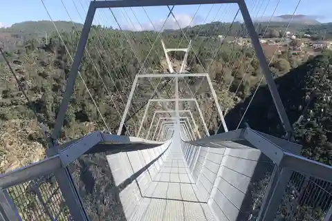 De Aveiro - Passadiços do Paiva e Ponte 516 com almoço trad.