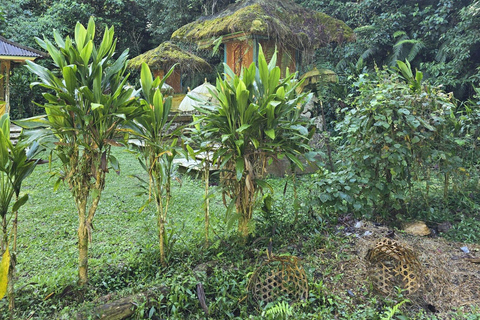 Munduk: Excursión a la Selva de los Lagos Gemelos con Canoa Lacustre y CascadaDesde la zona de Munduk : Tour privado