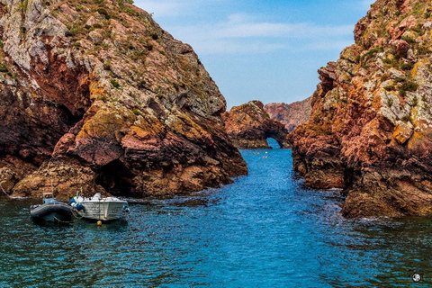 Peniche: Tour to Berlengas Island with Island Stop Morning Ferry