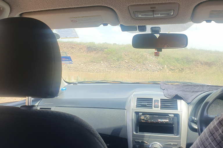 Nairobi: National Park Layover Tour mit Flughafentransfers.