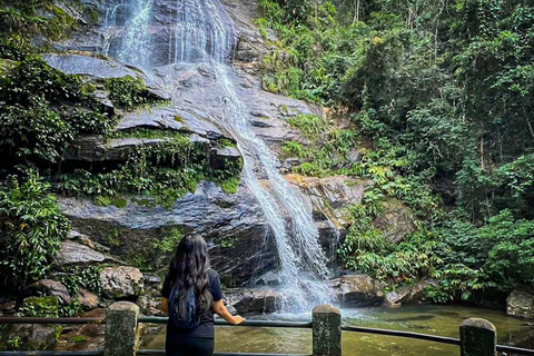 Tropical Wonders: Discover Rio's Jardim Botânico & Tijuca