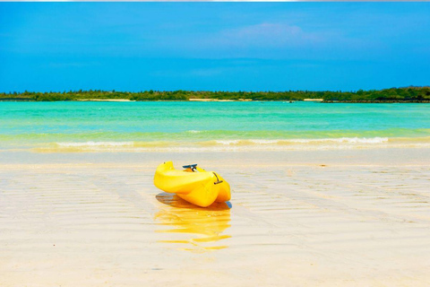 Galápagos: Santa Cruz - Tour Playa El Garrapatero