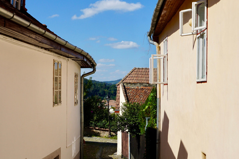 Depuis Bucarest : Découvrez la Transylvanie médiévale en 3 jours