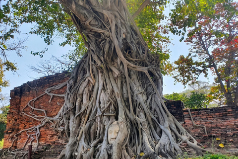 Maeklong, Damnoen Floating Market & Ayutthaya Private Tour Full day with Tour Guide