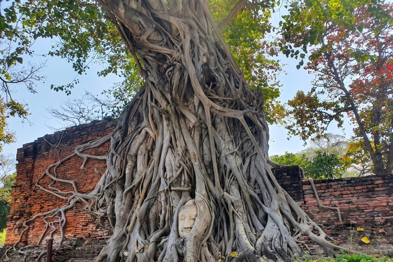Maeklong, Damnoen Floating Market & Ayutthaya Private Tour Full day with Tour Guide