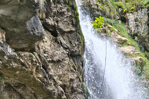 Best of Central Switzerland Day Trip Central Switzerland Day Trip from Lucerne Private
