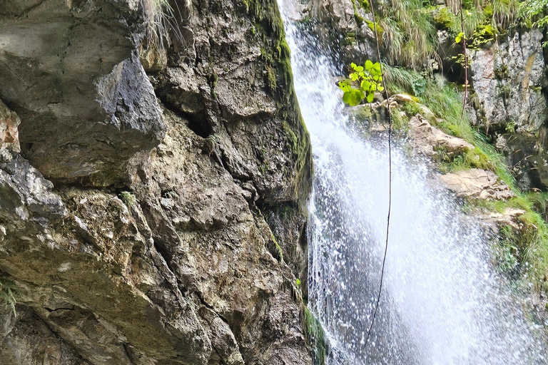 Best of Central Switzerland Day Trip Central Switzerland Day Trip from Lucerne Private