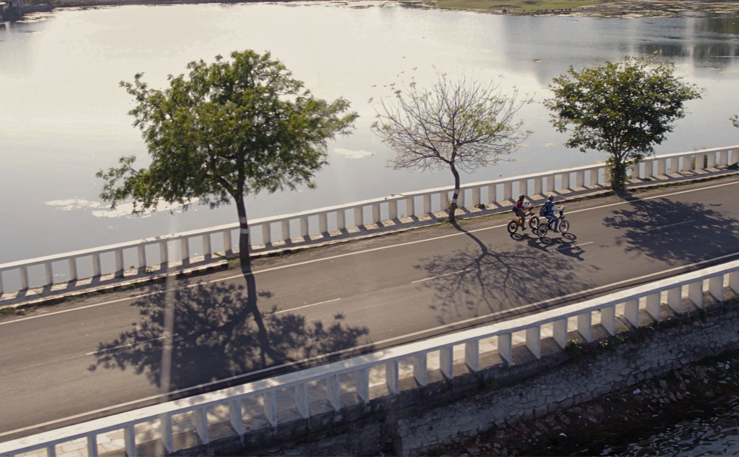Udaipur: E-Bike-Tour durch Seen und Dörfer