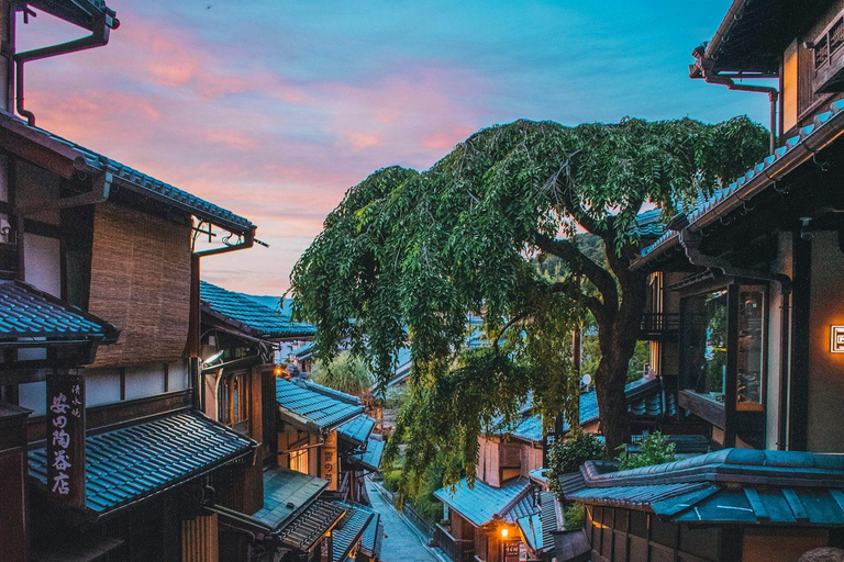 Kyoto Full Day Customizable Private Tour with English Guide