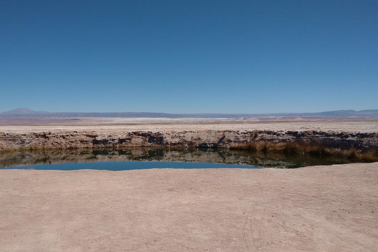 CEJAR LAGOON, SALT FLAT EYES AND TEBINQUINCHE LAGOON