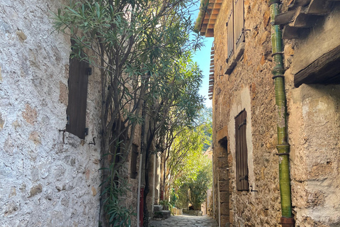 Privater Besuch von Saint Guilhem und Pont du Diable