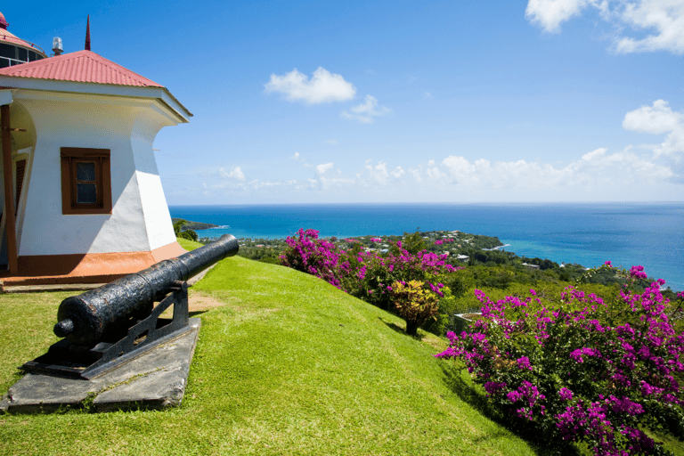 Tobago: Tour en barco con fondo de cristal y lo más destacado