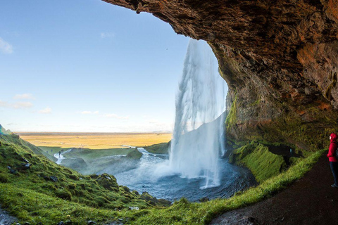 South Coast Private Multilingual Tour from Reykjavik