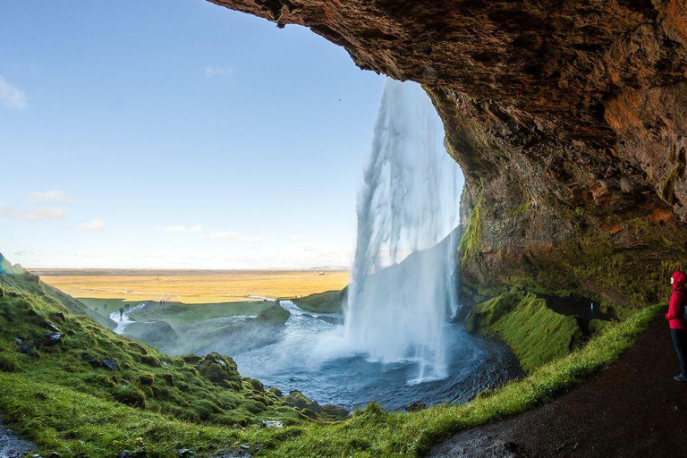 South Coast Private Multilingual Tour from Reykjavik