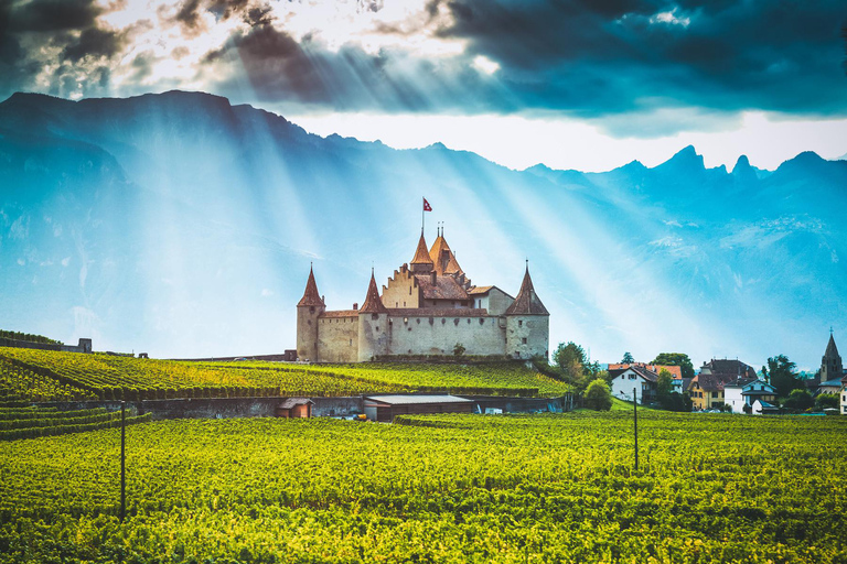 Prywatna wycieczka: Interlaken&gt; Zamek Aigle, winnice i Montreux