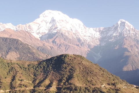 Pokhara: 7 Day Annapurna Base Camp Trek with Wildlife Tour