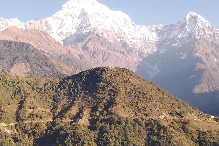 Pokhara: 7 Day Annapurna Base Camp Trek with Wildlife Tour