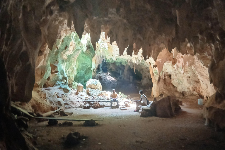 桑给巴尔：穆尤尼村之旅和姆滕德海滩放松体验私人观光（含接送服务）