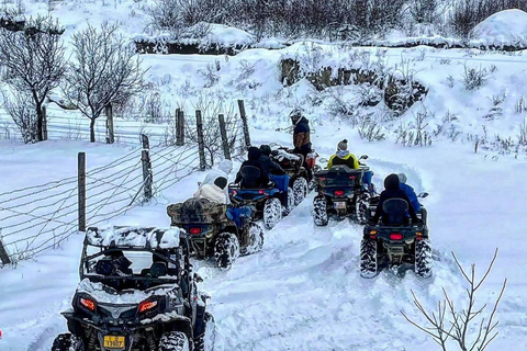 Brașov: Carpathian Mountains Off-Road Buggy or ATV Tour