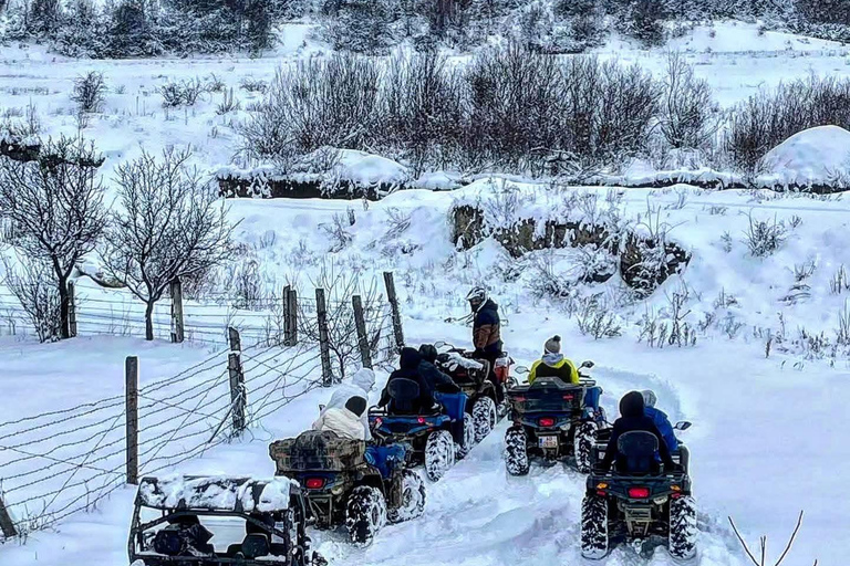 Brașov: Carpathian Mountains Off-Road Buggy or ATV Tour