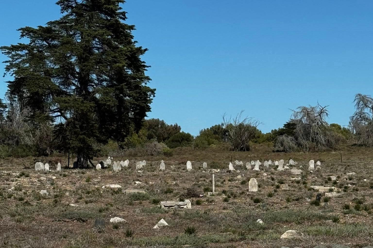 Cape Town: Robben Island Ticket with Ferry & Transfers