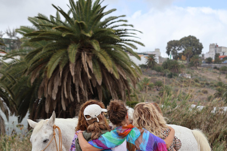 Gran Canaria: Transformative Experience with Horses: Connect and Enjoy Session Groups 5 to 10 people