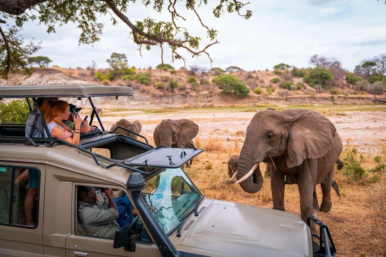 7-tägige Safari: Tarangire, Serengeti, Ngorongoro und Mto Wa Mbu