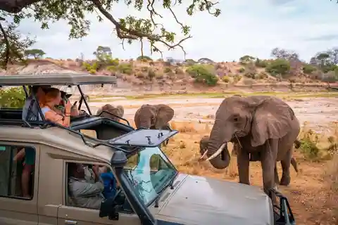 5 días Puerta del Infierno, Lago Naivasha, Lago Nakuru y Masai Mara