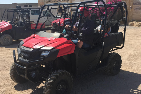 Marsa Alam: Sand Buggy Adventure with Camel Ride & Dinner